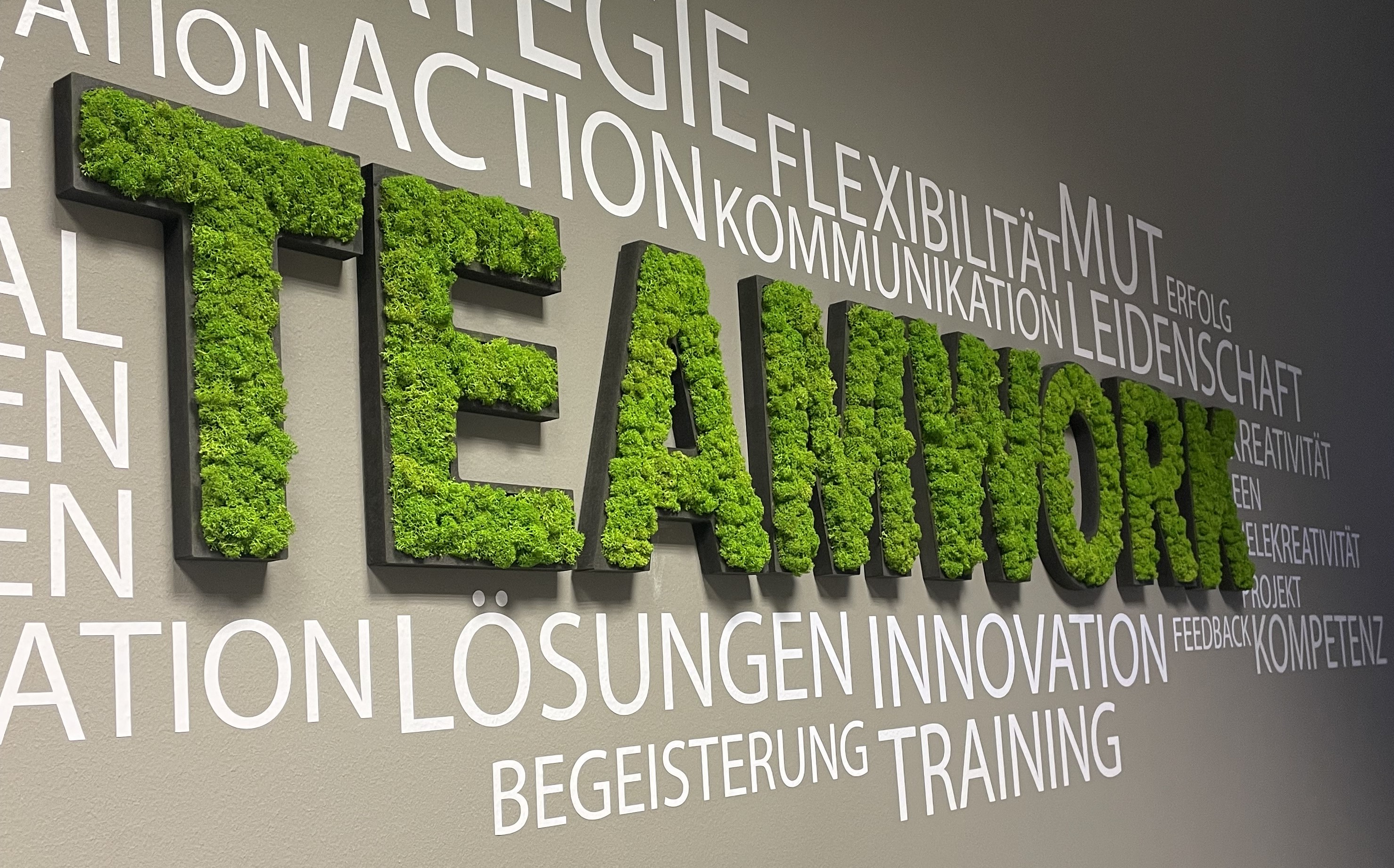 TEAMWORK Wandkunst